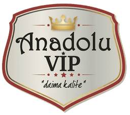 AnadoluVip logosu